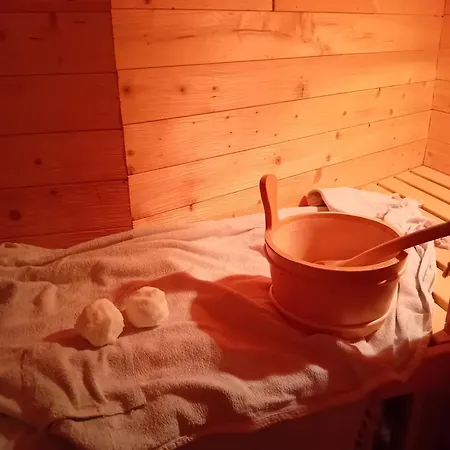 Wellnessoase Mit Sauna Und Whirlpool Apartment Inzell