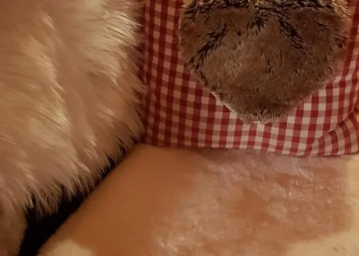 דירה Wellnessoase Mit Sauna Und Whirlpool