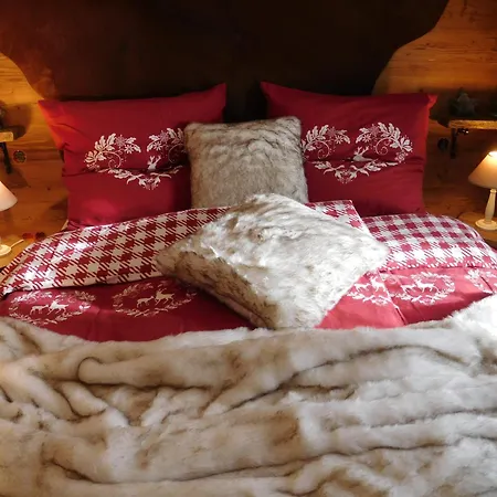 Wellnessoase Mit Sauna Und Whirlpool * 因泽尔
